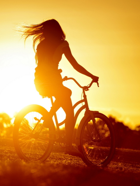 Das Sunset Bicycle Ride Wallpaper 480x640