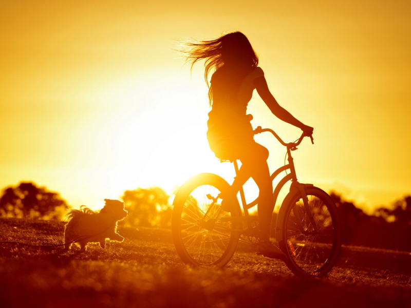Sfondi Sunset Bicycle Ride 800x600