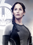 Jennifer Lawrence In The Hunger Games Catching Fire wallpaper 132x176
