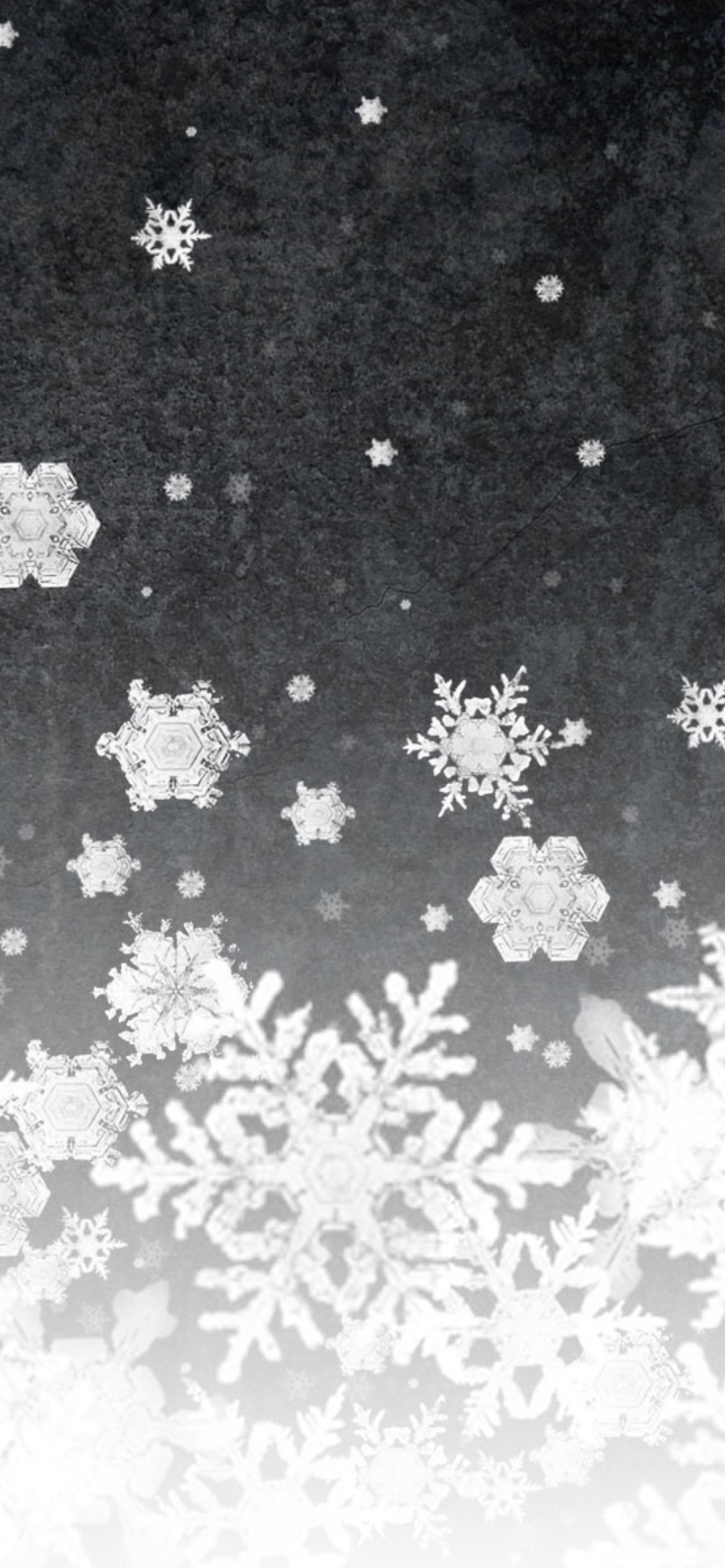 Sfondi Snowflakes 1170x2532