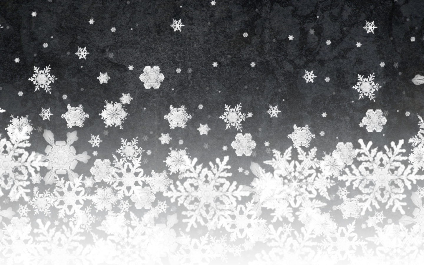 Fondo de pantalla Snowflakes 1440x900