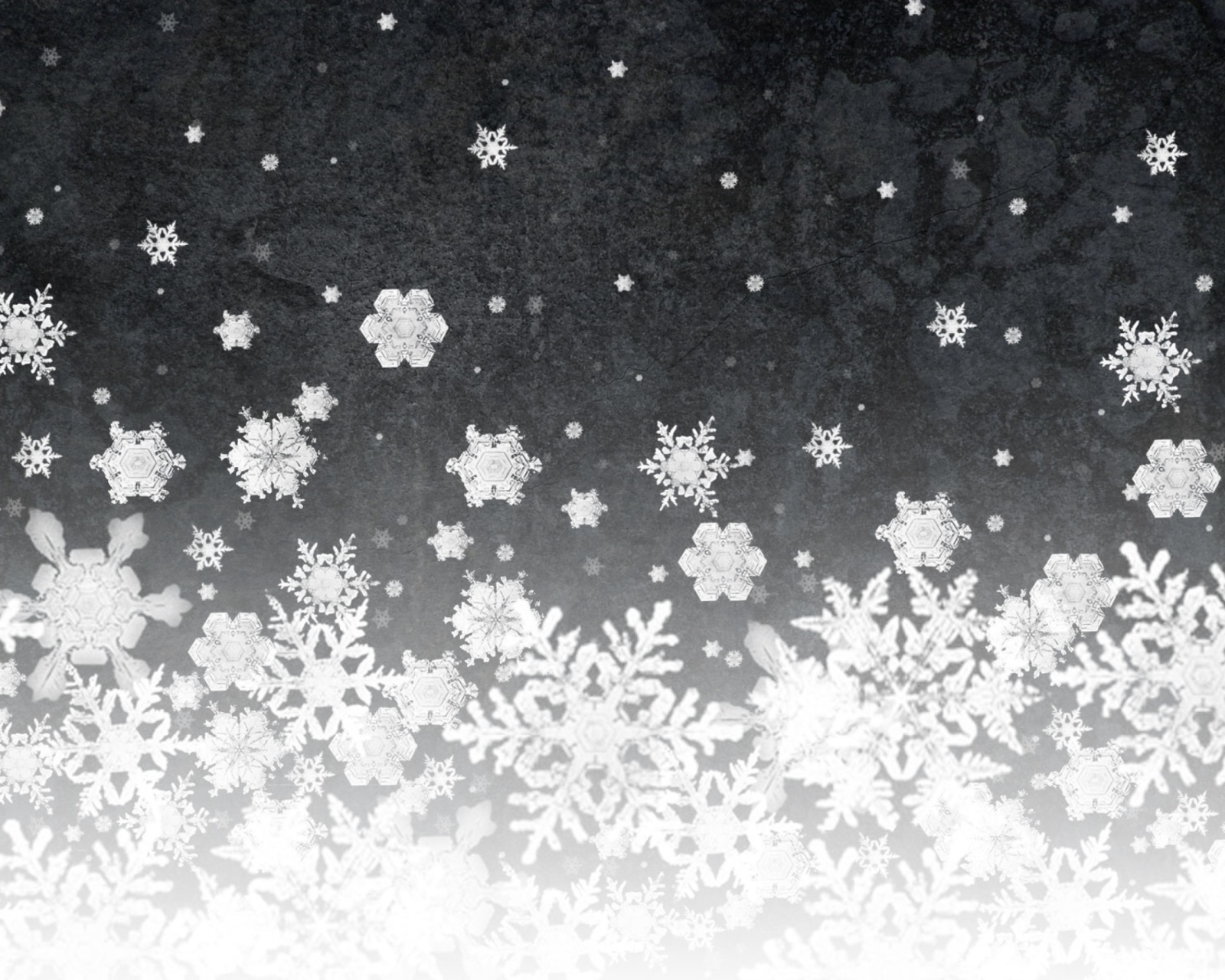 Snowflakes screenshot #1 1600x1280