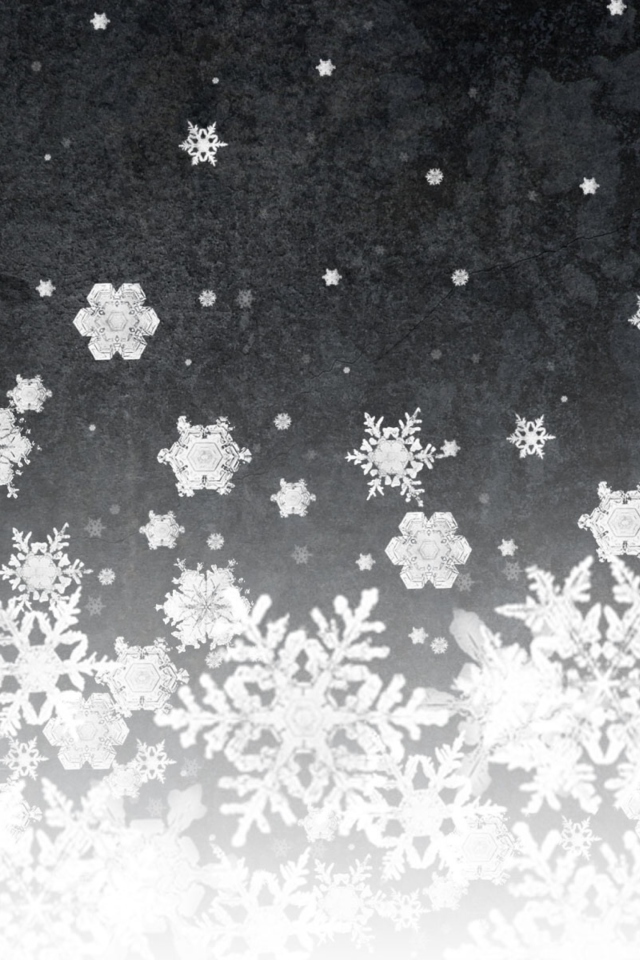 Sfondi Snowflakes 640x960