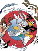 Looney tunes wallpaper 132x176