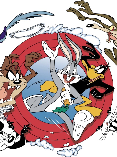 Sfondi Looney tunes 480x640