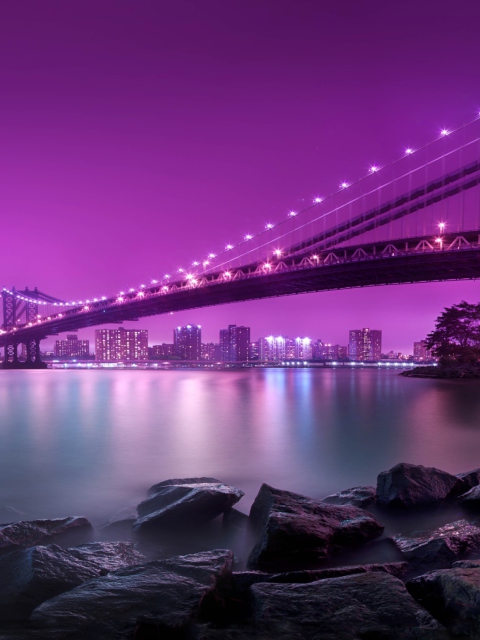 Fondo de pantalla Manhattan Bridge New York City 480x640