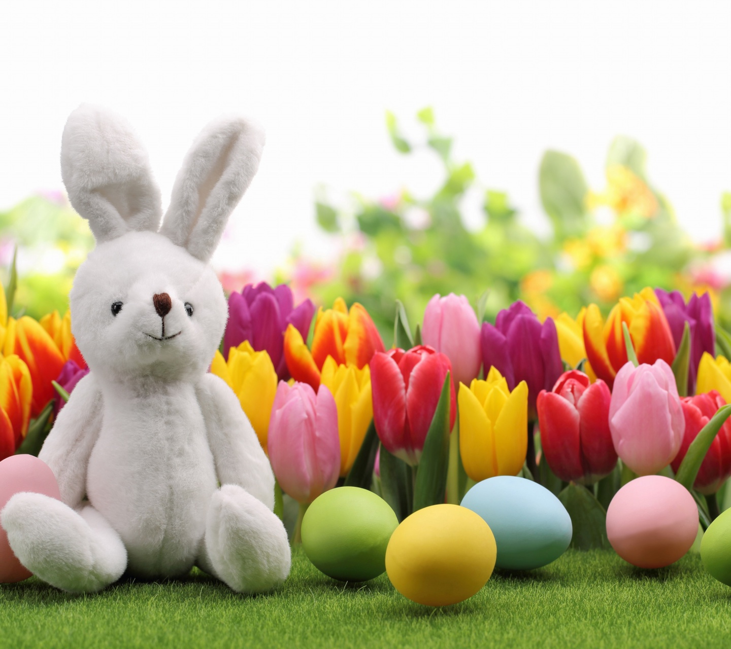 Das Happy Easter Wish Wallpaper 1440x1280