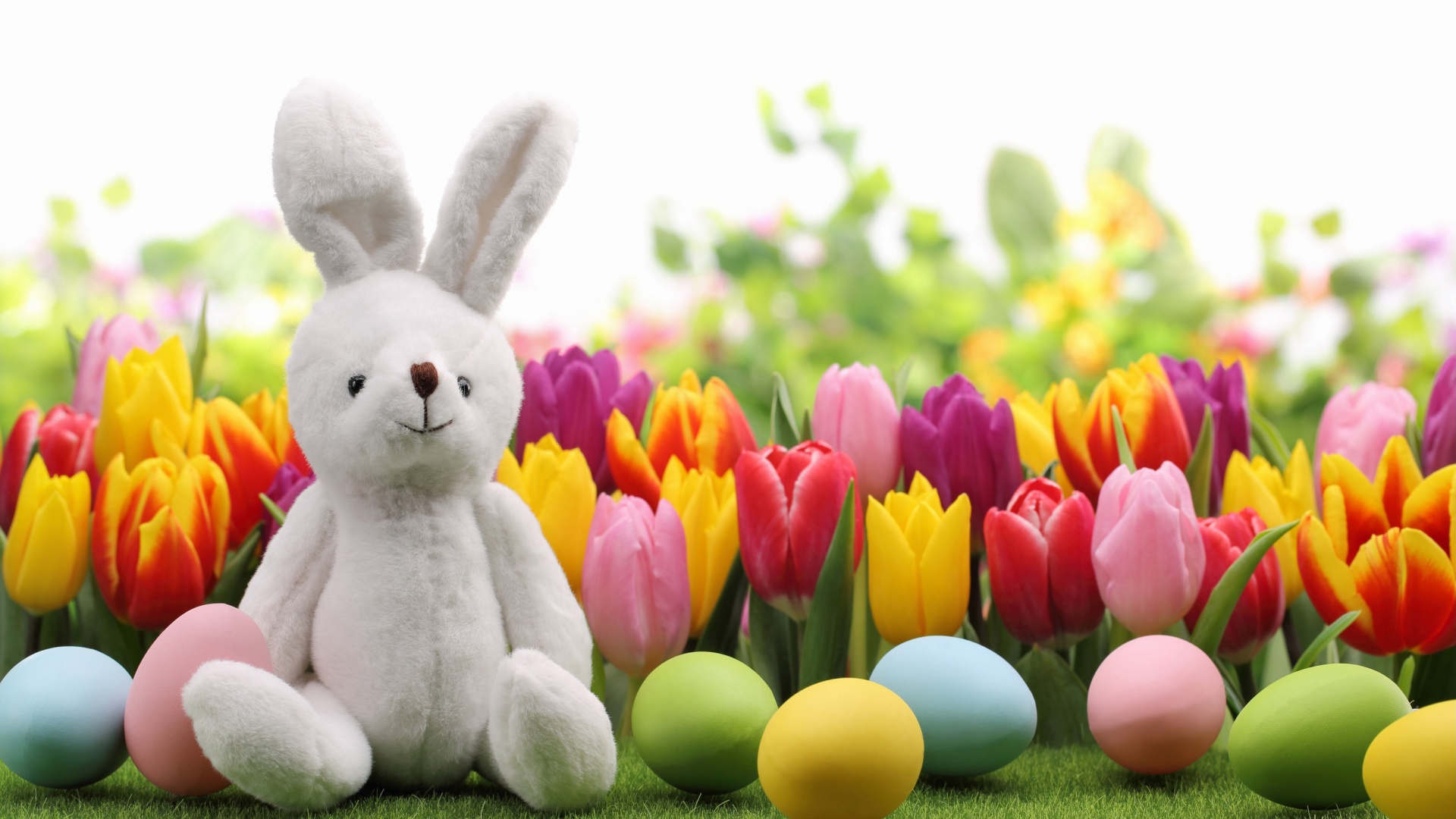 Happy Easter Wish wallpaper 1920x1080