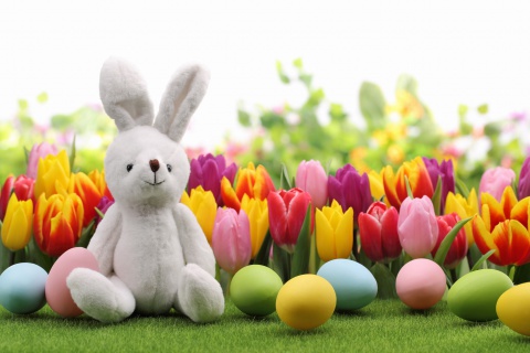 Fondo de pantalla Happy Easter Wish 480x320