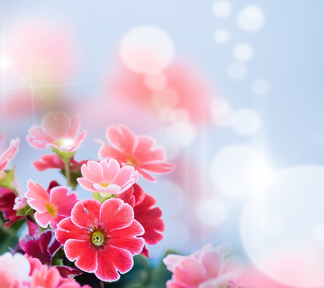 Bokeh Bright Flowers wallpaper 1080x960