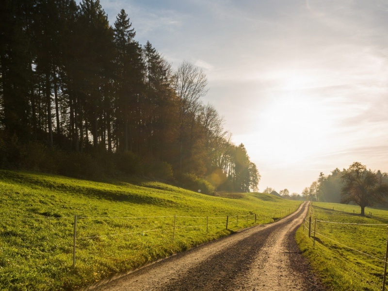 Village Landscape wallpaper 800x600