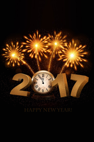 2017 New Year fireworks wallpaper 320x480