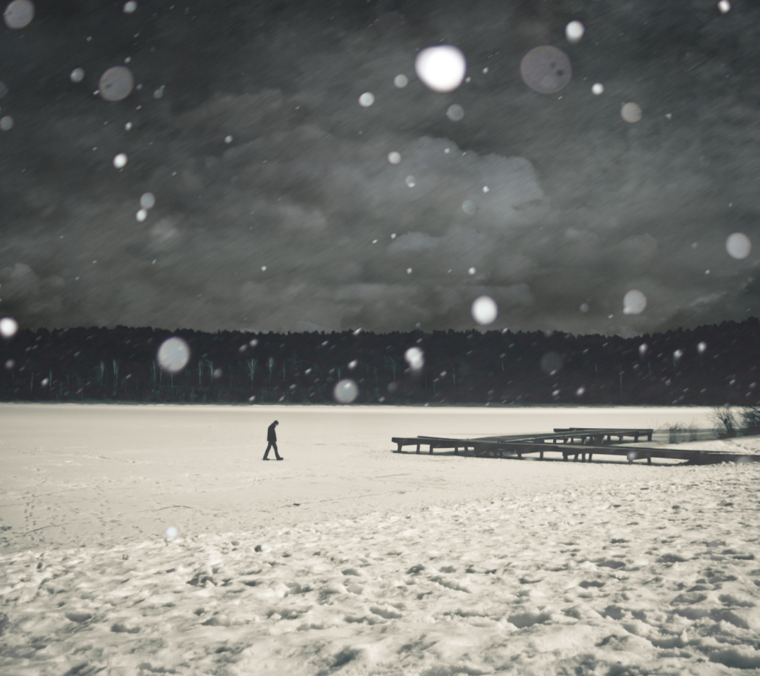 Alone Winter screenshot #1 1080x960