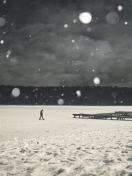 Alone Winter screenshot #1 132x176