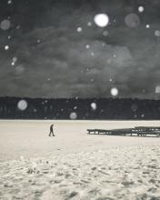 Alone Winter screenshot #1 176x220