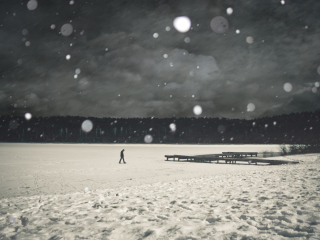 Alone Winter screenshot #1 320x240