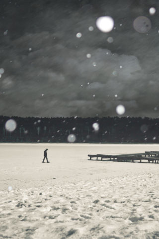 Alone Winter screenshot #1 320x480