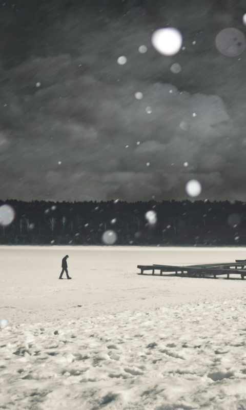 Alone Winter screenshot #1 480x800
