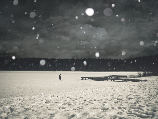 Alone Winter screenshot #1 640x480