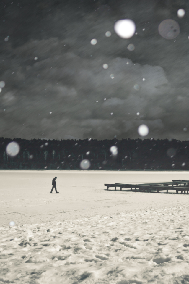 Alone Winter screenshot #1 640x960