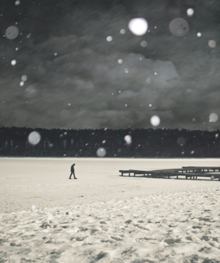 Alone Winter - Obrázkek zdarma pro 1080x1920