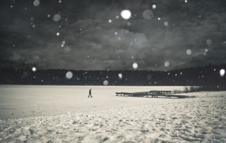 Free Alone Winter Picture for Android, iPhone and iPad