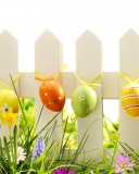 Easter Fence wallpaper 128x160