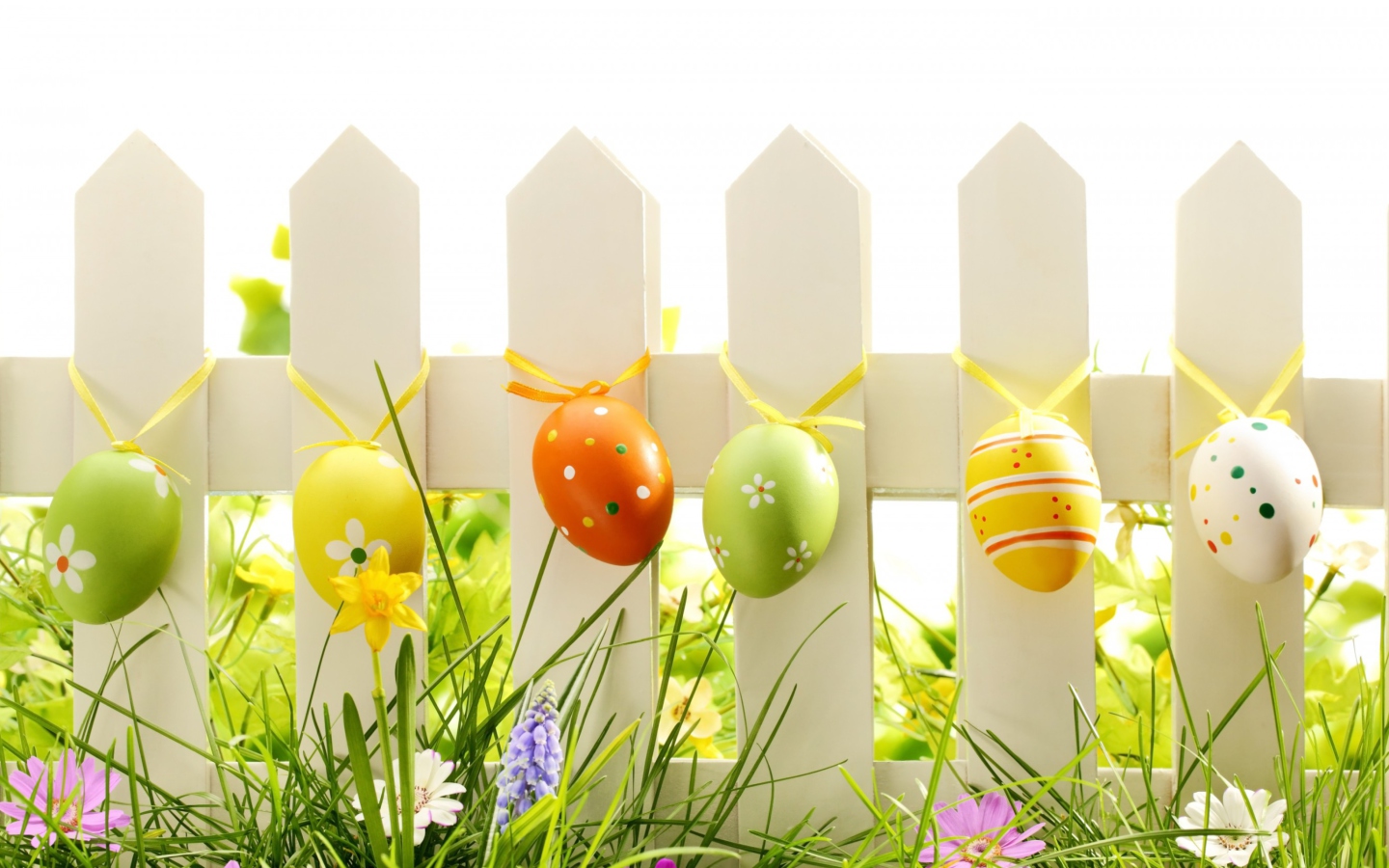 Easter Fence wallpaper 1440x900