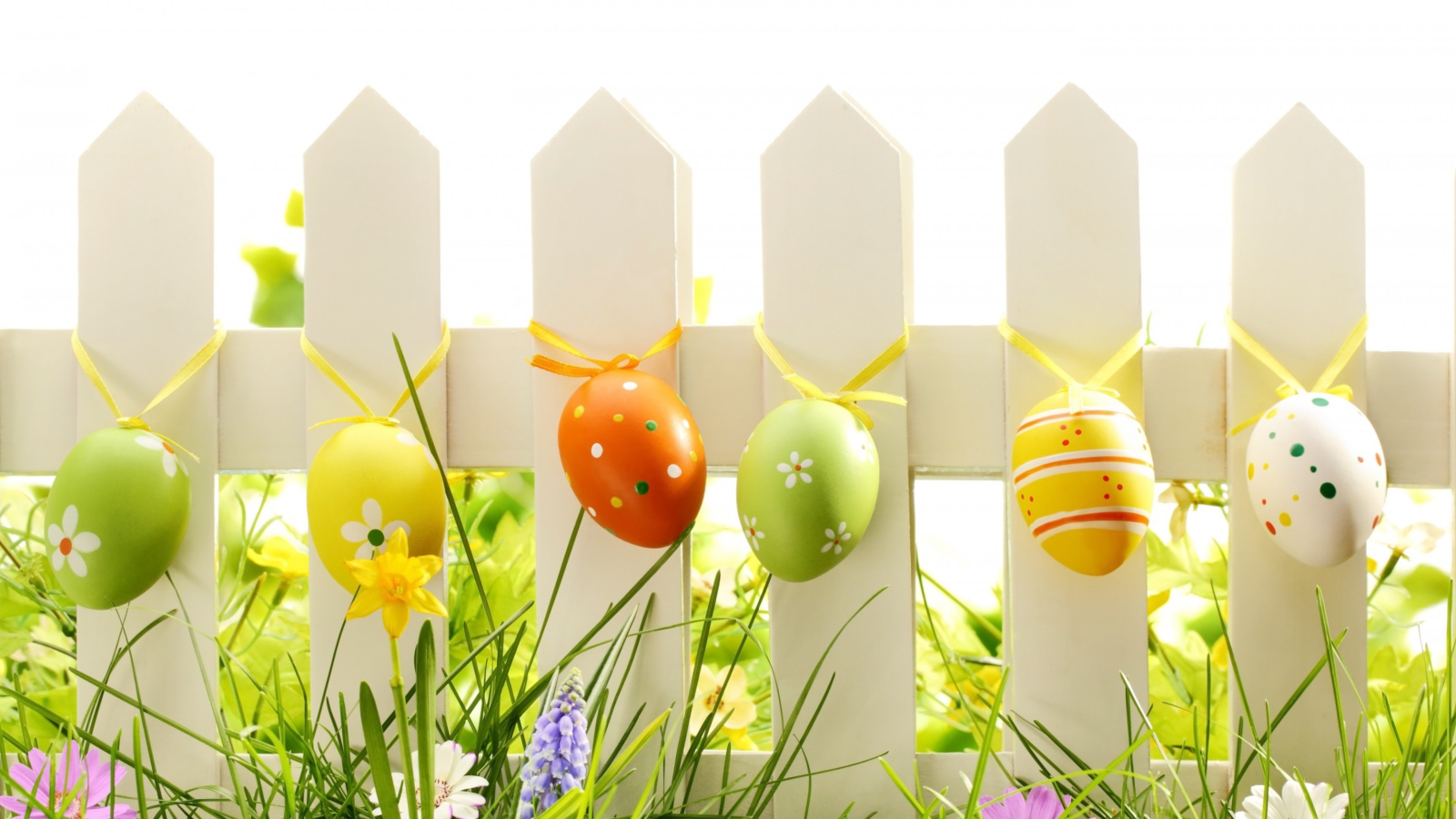 Easter Fence wallpaper 1600x900