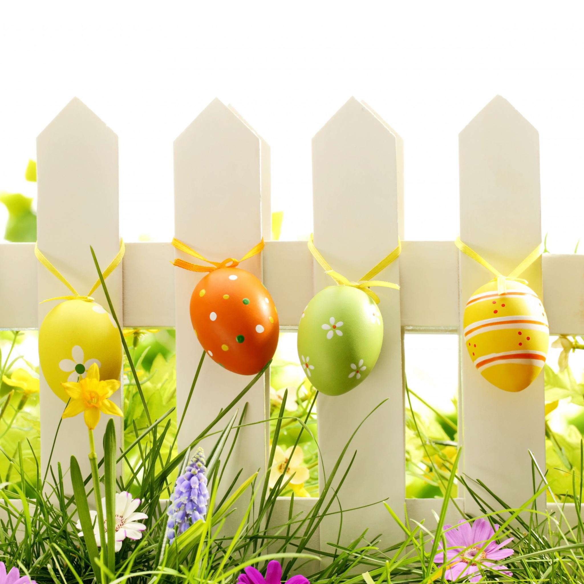Easter Fence wallpaper 2048x2048