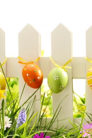 Easter Fence wallpaper 320x480