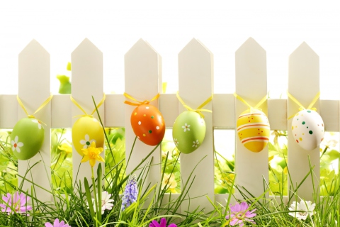 Easter Fence wallpaper 480x320