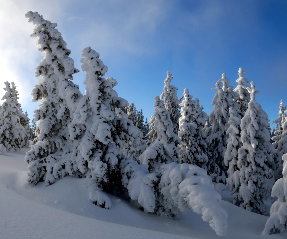 Canada Winter wallpaper 960x800