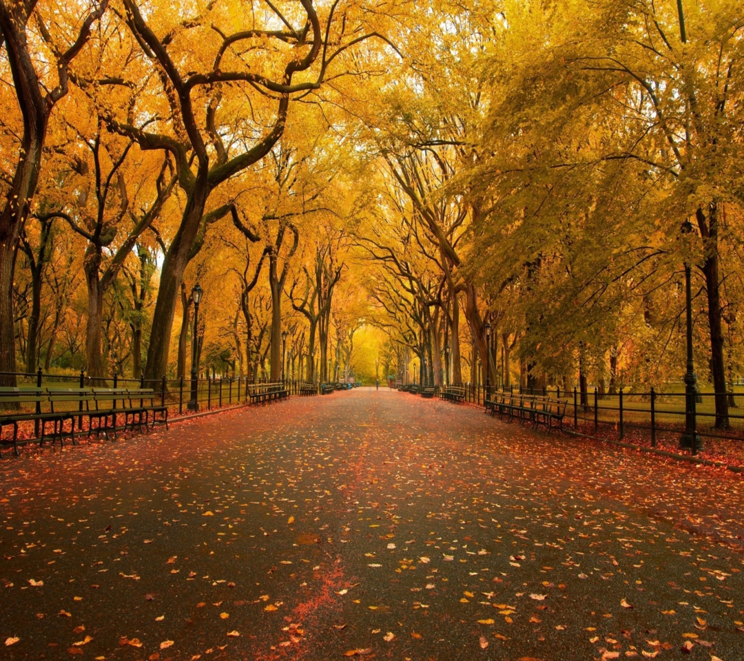 Das Autumn Way Wallpaper 1080x960