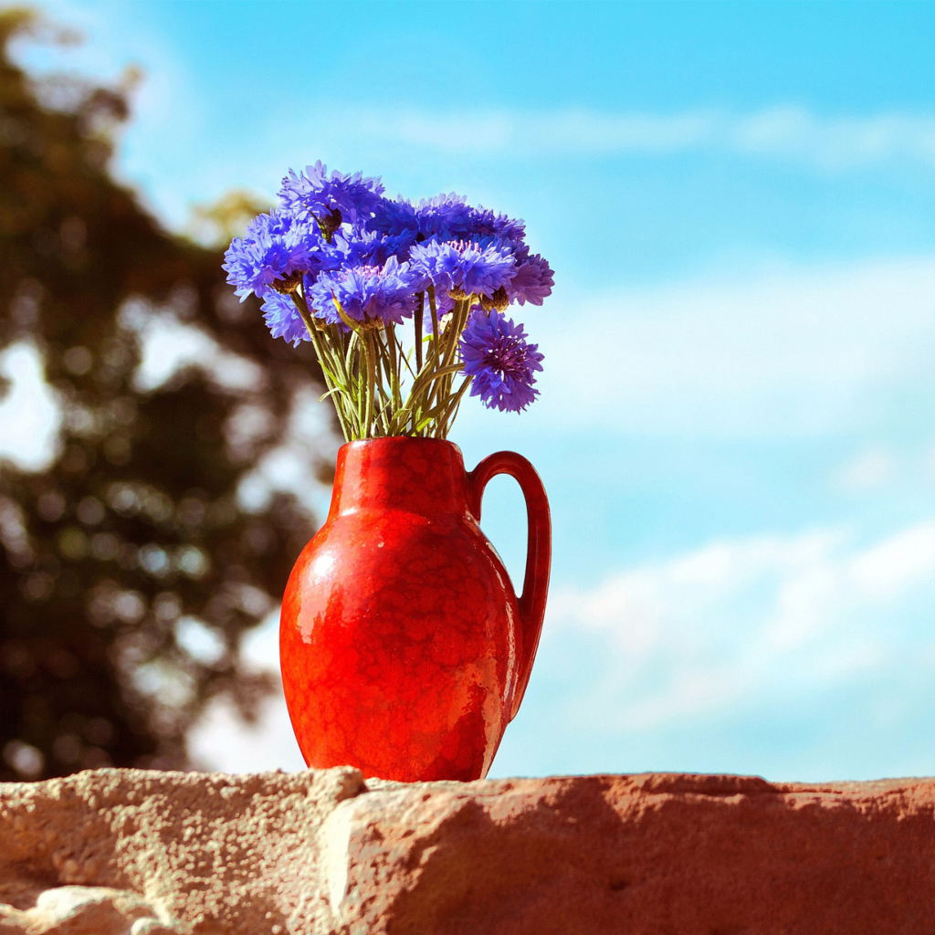 Fondo de pantalla Blue Bouquet In Red Vase 1024x1024