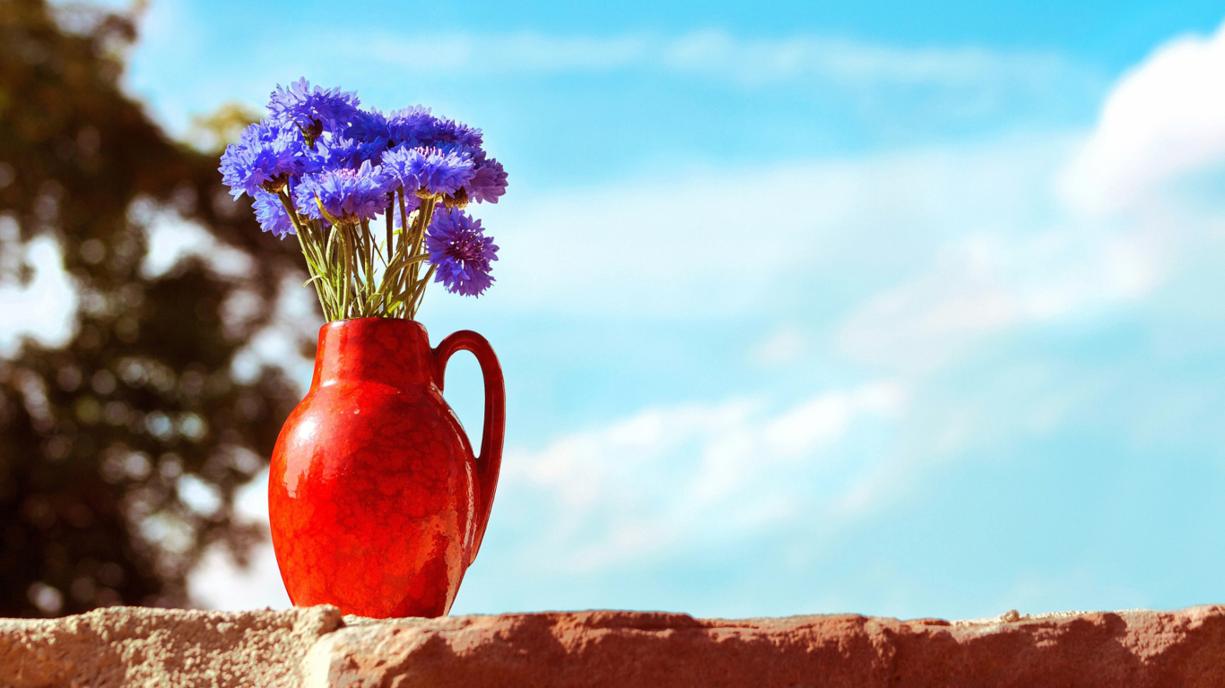 Blue Bouquet In Red Vase wallpaper 1366x768