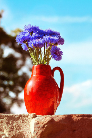 Blue Bouquet In Red Vase wallpaper 320x480