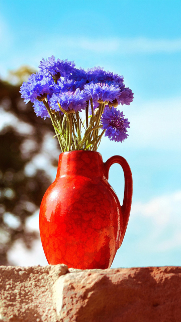 Das Blue Bouquet In Red Vase Wallpaper 360x640