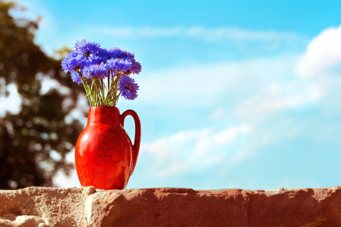 Das Blue Bouquet In Red Vase Wallpaper 480x320