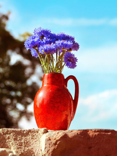 Das Blue Bouquet In Red Vase Wallpaper 480x640