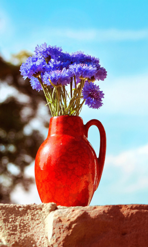 Das Blue Bouquet In Red Vase Wallpaper 480x800