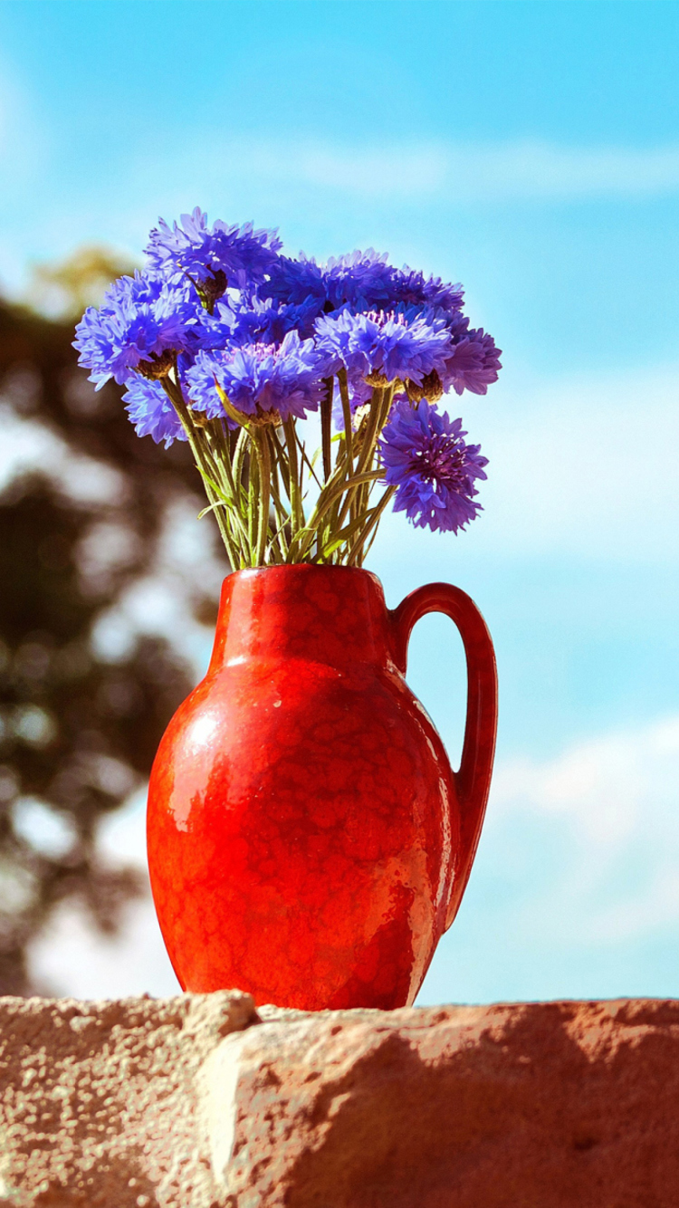 Blue Bouquet In Red Vase wallpaper 750x1334