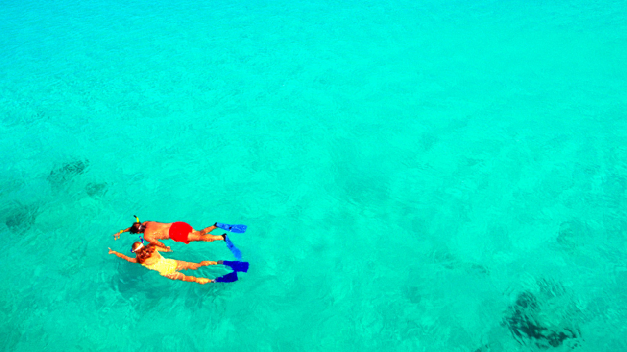 Snorkeling wallpaper 1280x720