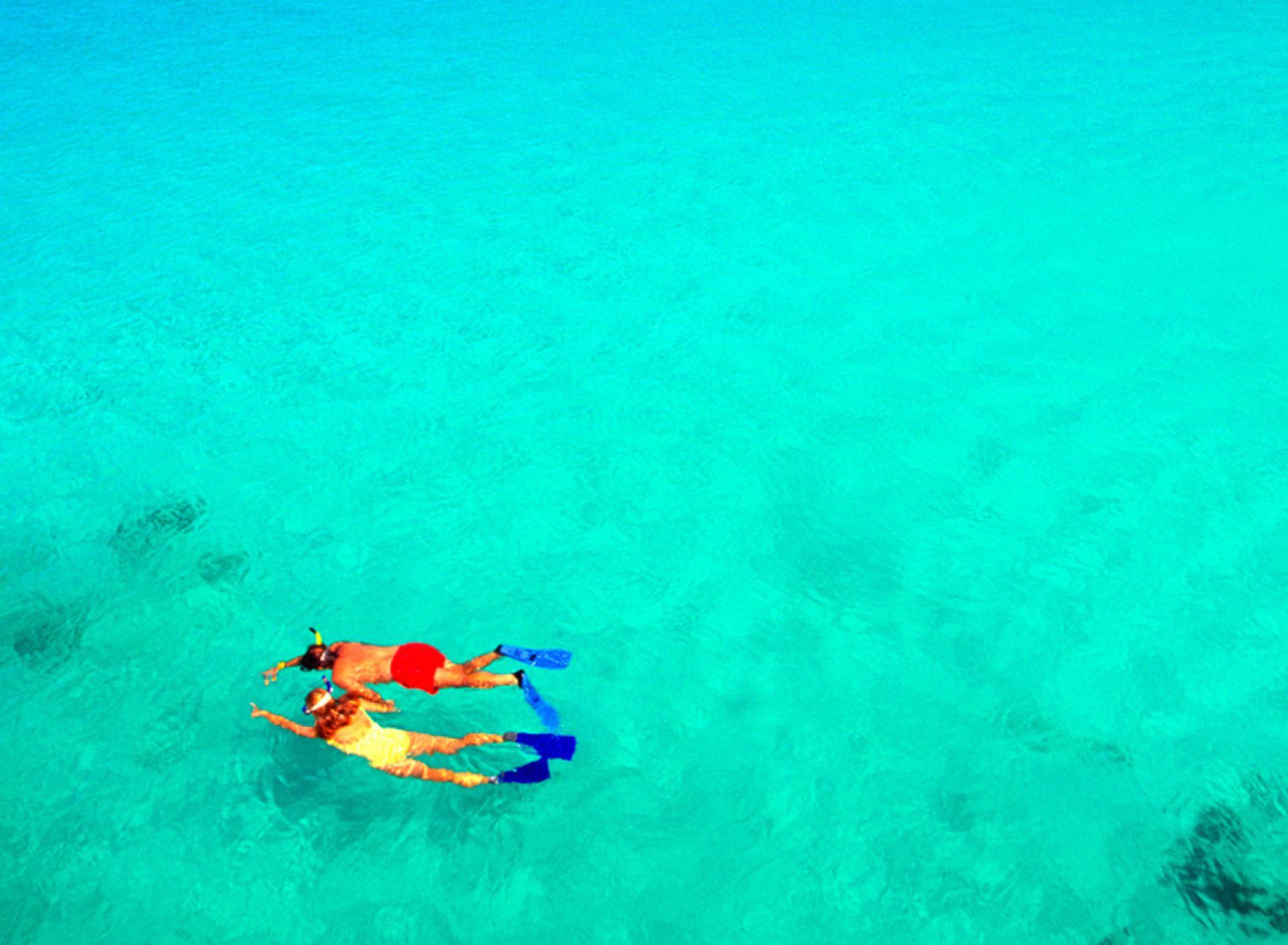 Screenshot №1 pro téma Snorkeling 1920x1408