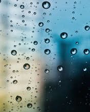 Rain Drop Window wallpaper 176x220