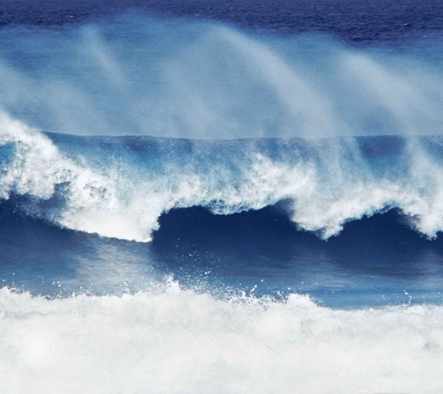 Big Blue Waves wallpaper 1440x1280
