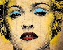 Обои Madonna Celebration Album 220x176