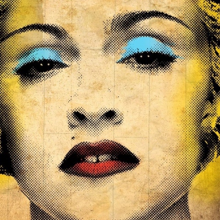 Madonna Celebration Album - Obrázkek zdarma pro iPad