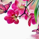 Screenshot №1 pro téma Tropical Butterflies 128x128