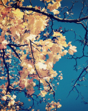 Golden Autumn Leaves wallpaper 128x160